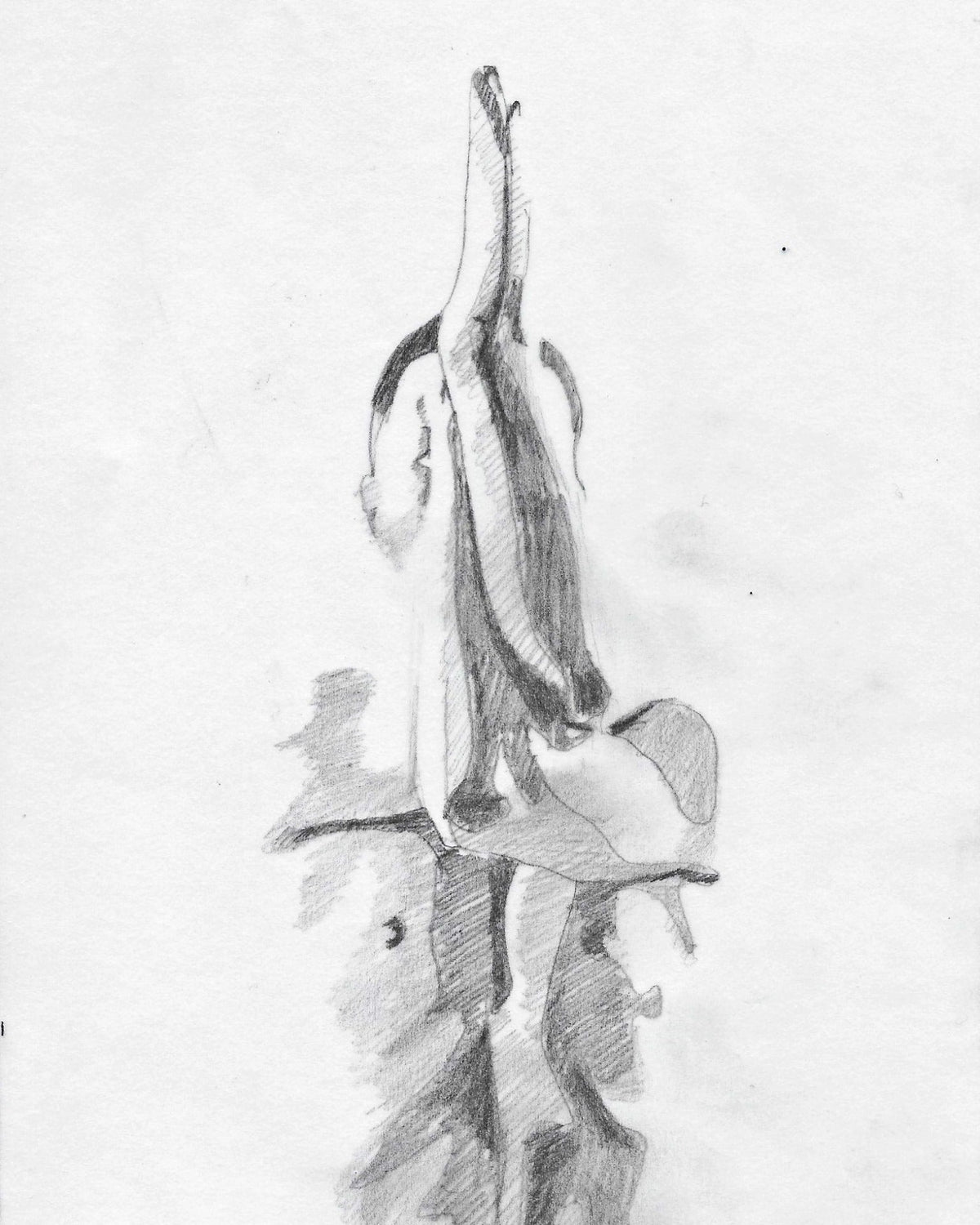 Works on Paper